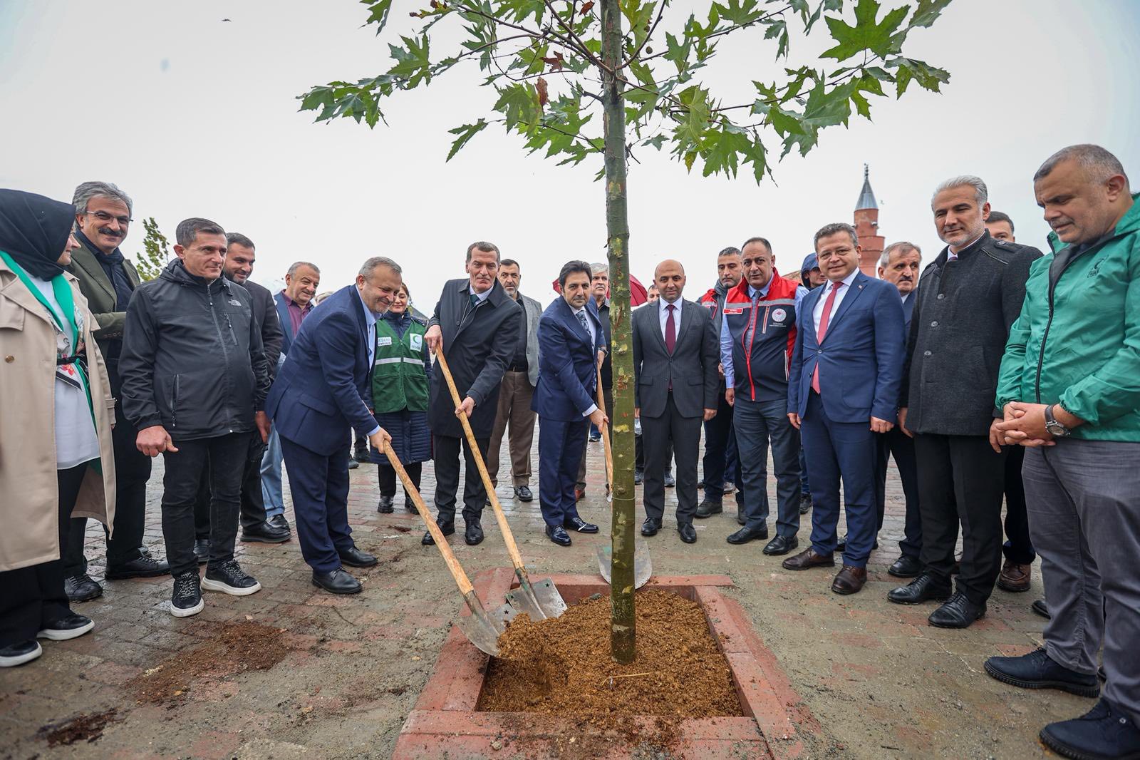 11 Kasım Milli Ağaçlandırma Günü 2025