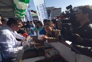 Zeytinburnu Hamsiye Doydu